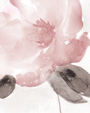 Blush Bloom I by Carol Robinson Oil Painting
