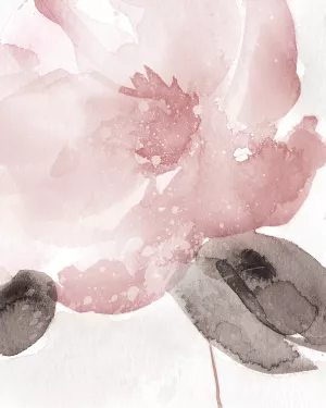 Blush Bloom I by Carol Robinson Oil Painting