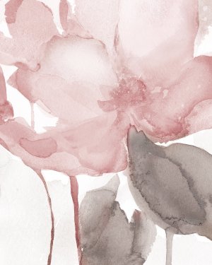 Blush Bloom II by Carol Robinson Oil Painting