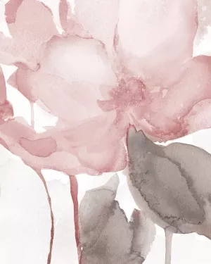 Blush Bloom II by Carol Robinson Oil Painting