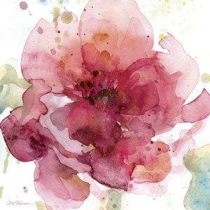 Bold Blush I by Carol Robinson Oil Painting