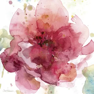 Bold Blush I by Carol Robinson Oil Painting