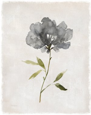 Botanical Beauty I by Carol Robinson Oil Painting