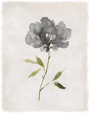 Botanical Beauty I by Carol Robinson Oil Painting