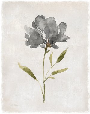 Botanical Beauty II by Carol Robinson Oil Painting