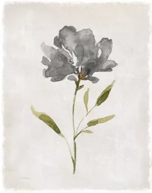 Botanical Beauty II by Carol Robinson Oil Painting