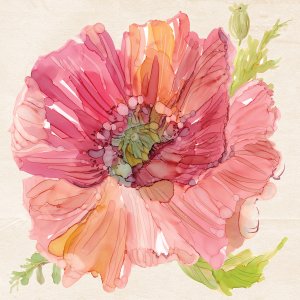 Botanical Poppy by Carol Robinson Oil Painting