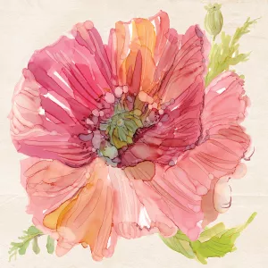Botanical Poppy by Carol Robinson Oil Painting