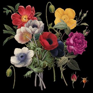 Botanical Variety I by Carol Robinson Oil Painting