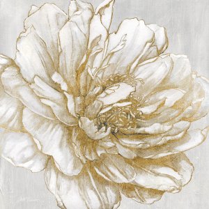 Bright Peony by Carol Robinson Oil Painting