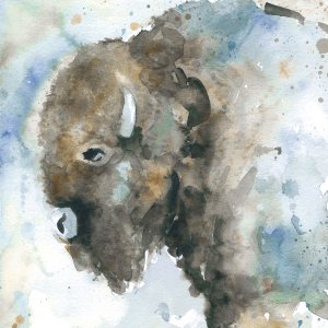 Buffalo On Blue by Carol Robinson Oil Painting