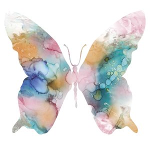 Butterfly and Marble II by Carol Robinson Oil Painting