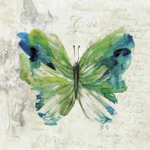 Butterfly Sketch I by Carol Robinson Oil Painting