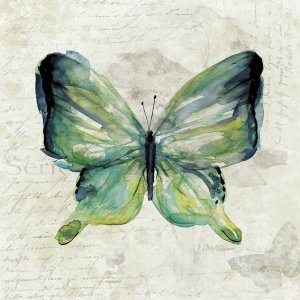Butterfly Sketch II by Carol Robinson Oil Painting