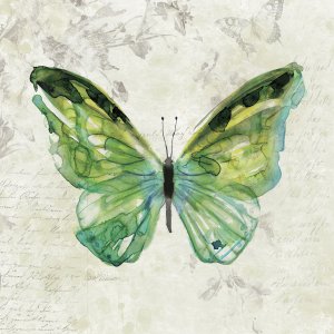 Butterfly Sketch III by Carol Robinson Oil Painting