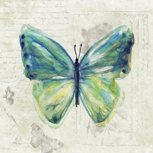 Butterfly Sketch IV by Carol Robinson Oil Painting