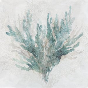 Calm Coral II by Carol Robinson Oil Painting