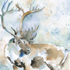 Caribou On Blue by Carol Robinson Oil Painting