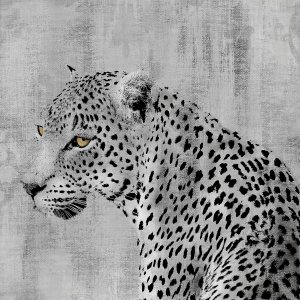 Cat Pause by Carol Robinson Oil Painting