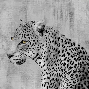 Cat Pause by Carol Robinson Oil Painting