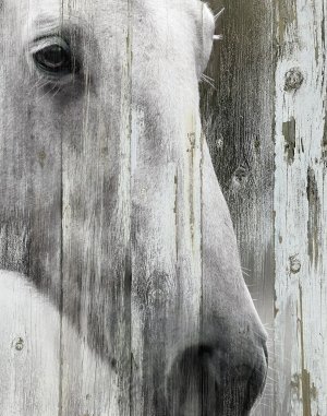 No Frame Rolled Canvas