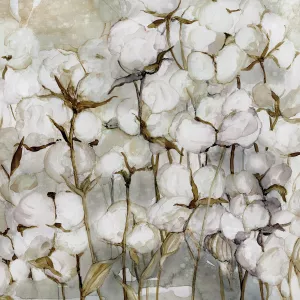 Cotton Field by Carol Robinson Oil Painting