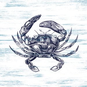 Crab by Carol Robinson Oil Painting