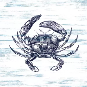 Crab Oil Painting by Carol Robinson - Contemporary