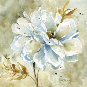 Dahlia by Carol Robinson Oil Painting