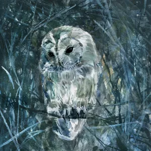 Deep In The Forest Oil Painting by Carol Robinson - Bestsellers