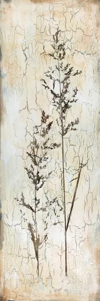 Delicate Nature I by Carol Robinson Oil Painting