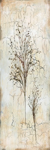 Delicate Nature II by Carol Robinson Oil Painting