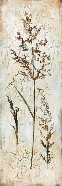 Delicate Nature III by Carol Robinson Oil Painting