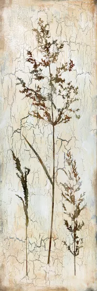 Delicate Nature III by Carol Robinson Oil Painting