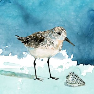 Delray Sandpiper I by Carol Robinson Oil Painting