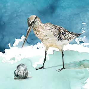 Delray Sandpiper II by Carol Robinson Oil Painting