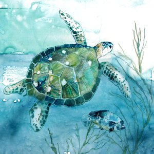 Delray Sea Turtle I by Carol Robinson Oil Painting