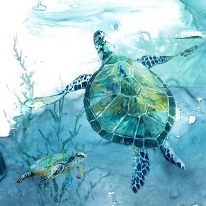 Delray Sea Turtle II by Carol Robinson Oil Painting