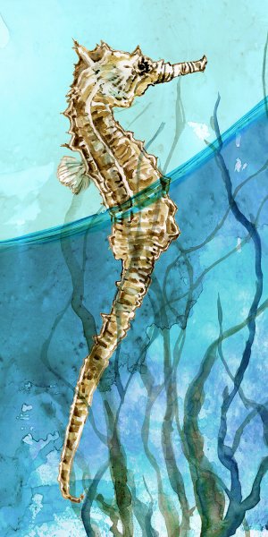 Delray Seahorse I by Carol Robinson Oil Painting