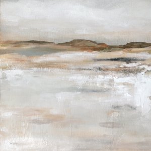 Desert Floor by Carol Robinson Oil Painting