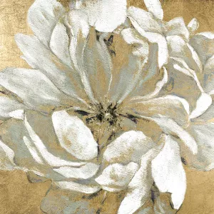 Emerging Bloom I by Carol Robinson Oil Painting