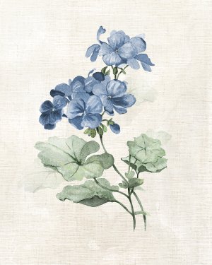 Farmhouse Periwinkle I by Carol Robinson Oil Painting