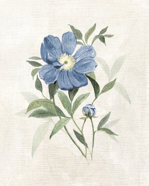 Farmhouse Periwinkle III Oil painting by Carol Robinson