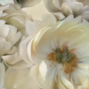 Floral Shadows I by Carol Robinson Oil Painting