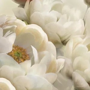 Floral Shadows II by Carol Robinson Oil Painting