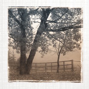 No Frame Rolled Canvas
