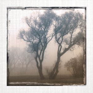 No Frame Rolled Canvas