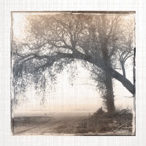 No Frame Rolled Canvas
