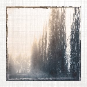 No Frame Rolled Canvas
