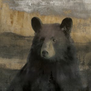 Forest Black Bear by Carol Robinson Oil Painting
